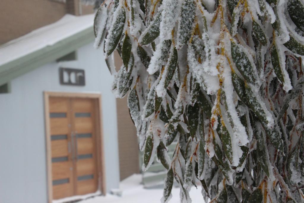 Hotel Alpine Retreat Mt Buller Mount Buller Exterior foto